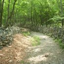 강릉 노추산 힐링캠프 이미지