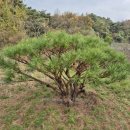 반송농장 이미지