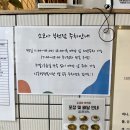 차가미소짓는곳 이미지