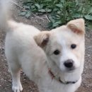 지천농장 이미지