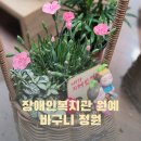 광산구장애인복지관 프로그램실 | 장애인 복지관 / 원예체험 어버이날 카네이션 바구니정원 만들기 추천 /광주 포레스타