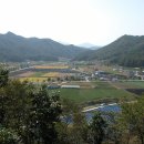 본1리 이미지