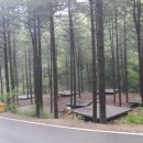 국립자연휴양림관리소(산음자연휴양림) 이미지