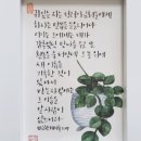 예랑캘리