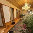 산천능이한방백숙 | 남양주맛집 산아래 능이한방백숙 내돈내산 후기