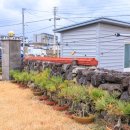 정낭 민박 이미지