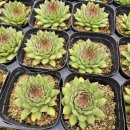 g0206 네이버블로그