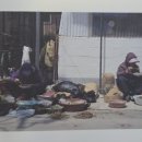 김제숙 티스토리