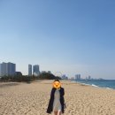 속초 청초호 씨크루즈호텔 스탠다드 더블룸,조식 후기,속초 청초호근처 가성비,저렴한 호텔 추천