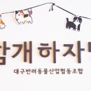 대구반려동물산업협동조합 함개하자냥 이미지