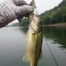 고남저수지 이미지