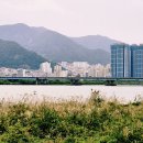 낙동강변2 이미지