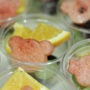 보성태권도장 이미지