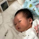 가재야 | 부드럽고 순한 촉감, 밤부베베 가재수건 국민템 사용 후기