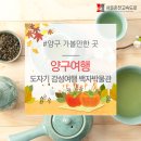 양구여행 : 도자기 감성여행 백자박물관