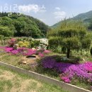 누리힐링하우스 이미지