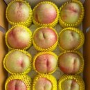 김종달농장 네이버블로그