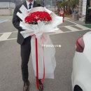 상록자이언트 이미지