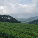 별서정원 이미지