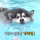 전진세탁소 이미지