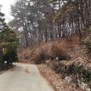 증평 논뷰 한옥 이색 카페 이와 방문 후기