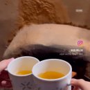 엄가네곰탕 이미지