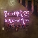 푼타하우스 | [대형견애견카페]하남시 춘궁동에 위치한 대형견이 가기 좋은 애견카페 :: 푼타하우스