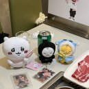 그루밍 호찌 이미지