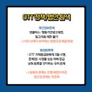 미로미디어