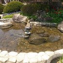 삼아카센타 이미지