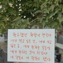 영원 세탁 이미지