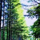 로얄골프랜드 이미지