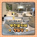 [부천 꿀카페] 7호선 신중동역 1분거리, 분위기 좋은 카페 청밀당 방문 후기