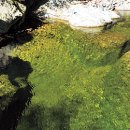 신선계곡 이미지