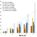 침묵의 기생균 ‘동양종 노제마(Nosema ceranae)’ 이미지