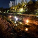 당현3교 | 2022 노원 달빛 산책 다녀온 후기