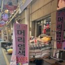 구피샵 이미지