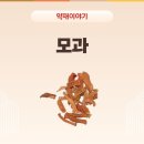 중부건강원