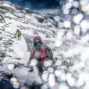 Body picnic 이미지