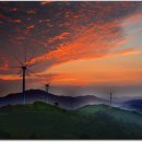 여명목장 이미지