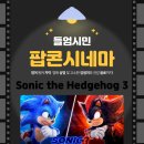 9월 노형꿈틀작은도서관 팝콘시네마 '슈퍼소닉3'(원어상영 및 영어자막) 이미지