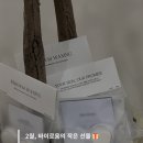 바이로움