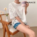 헤레이스(HARACE)