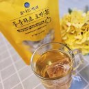 유니드백세 이미지