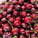 체리마트 | Arla Natural cherry yogurt 필리핀 세부 마트쇼핑템 체리요거트 체리요플레 후기