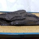 마당바위 이미지