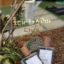 🫧 셀프 이색 체험 프라이빗 원데이클래스 : 서울 홍대 향수 공방 닷노트 리뷰