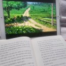 2025.05 (2) 오월, 푸르름