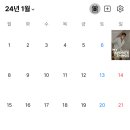 2024년 11월 공연 이미지