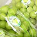 김천농협주유소 이미지